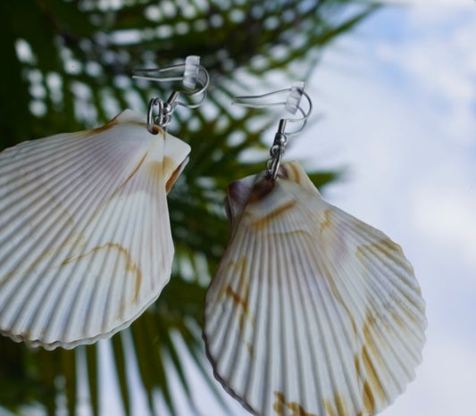 Coco Shell Earrings