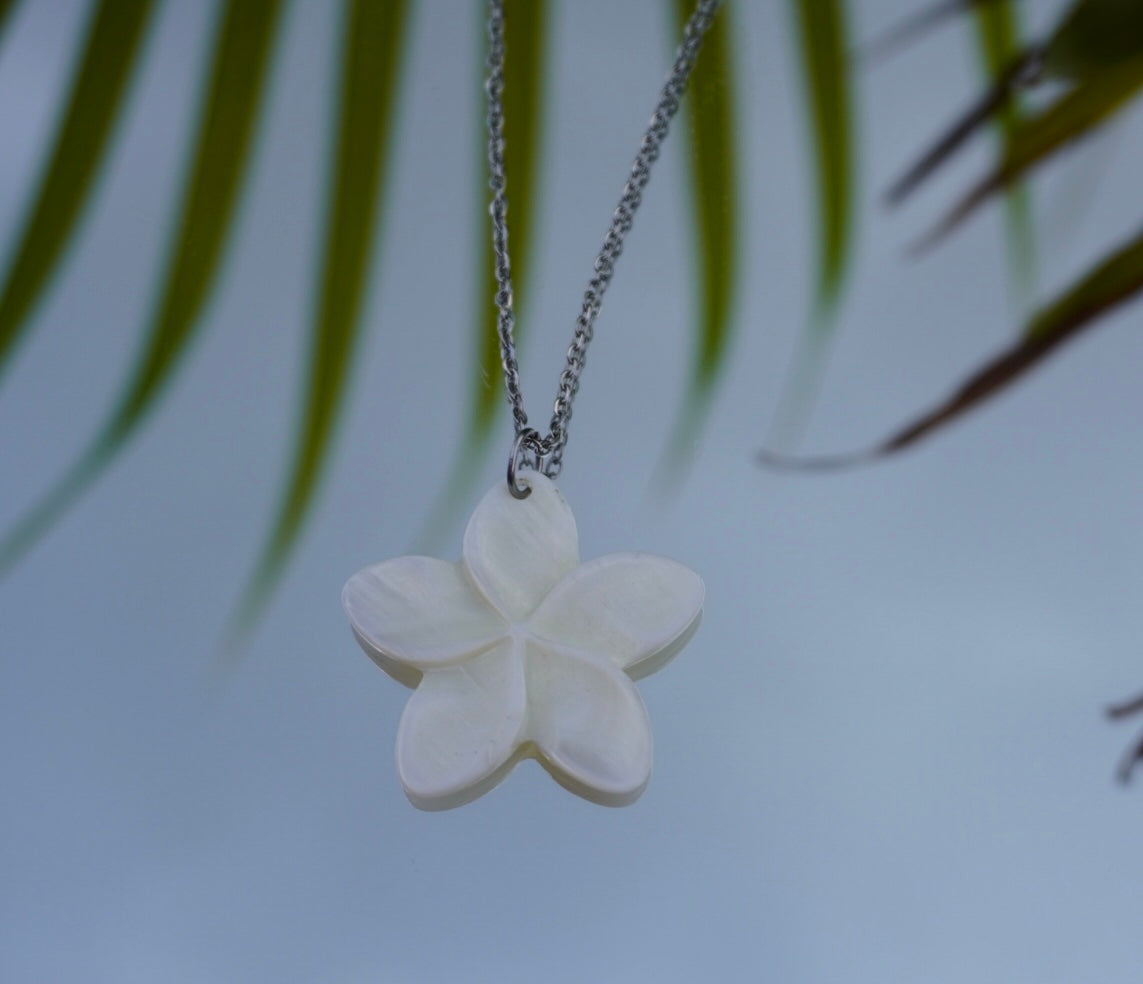 collares de conchas