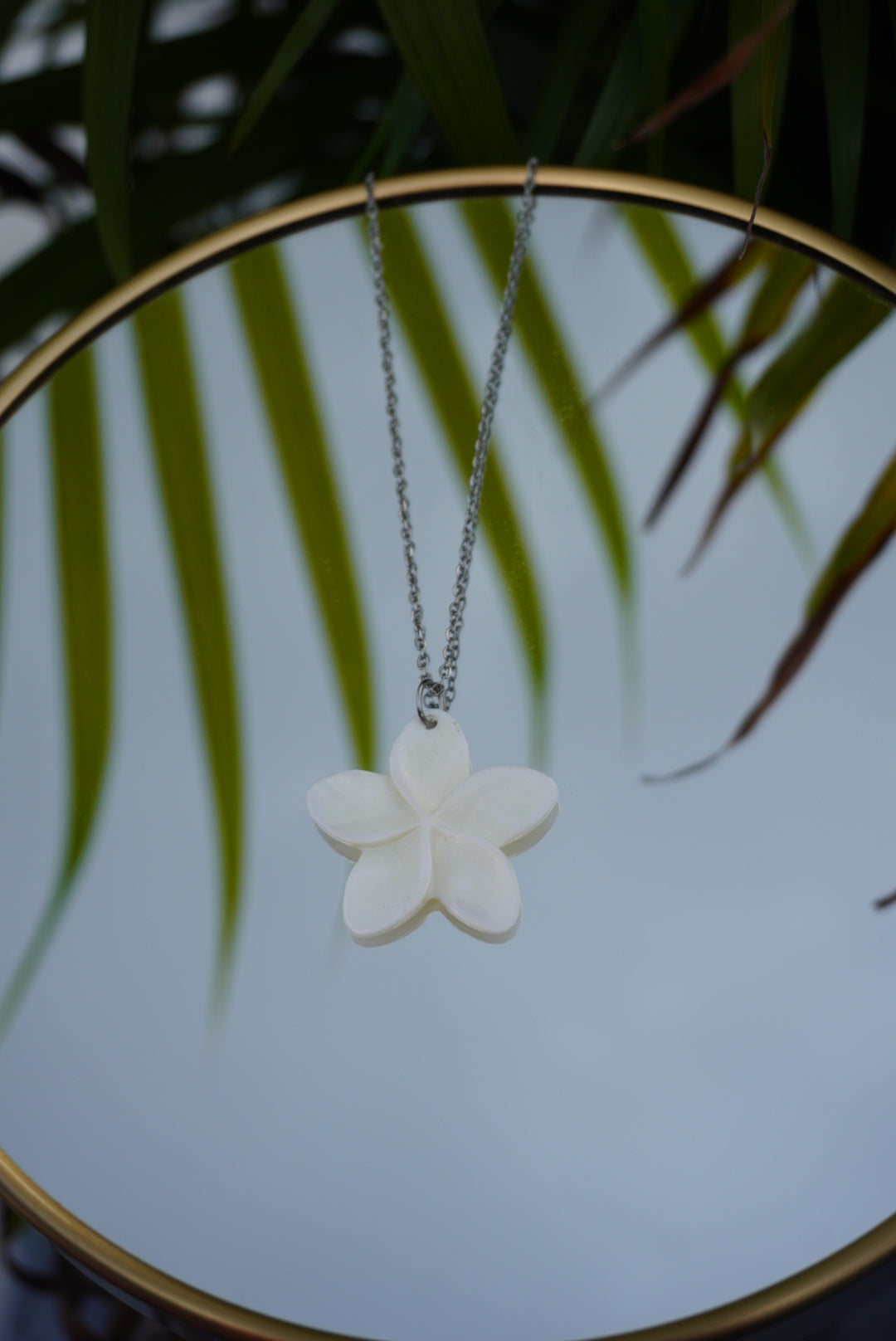 collares de conchas