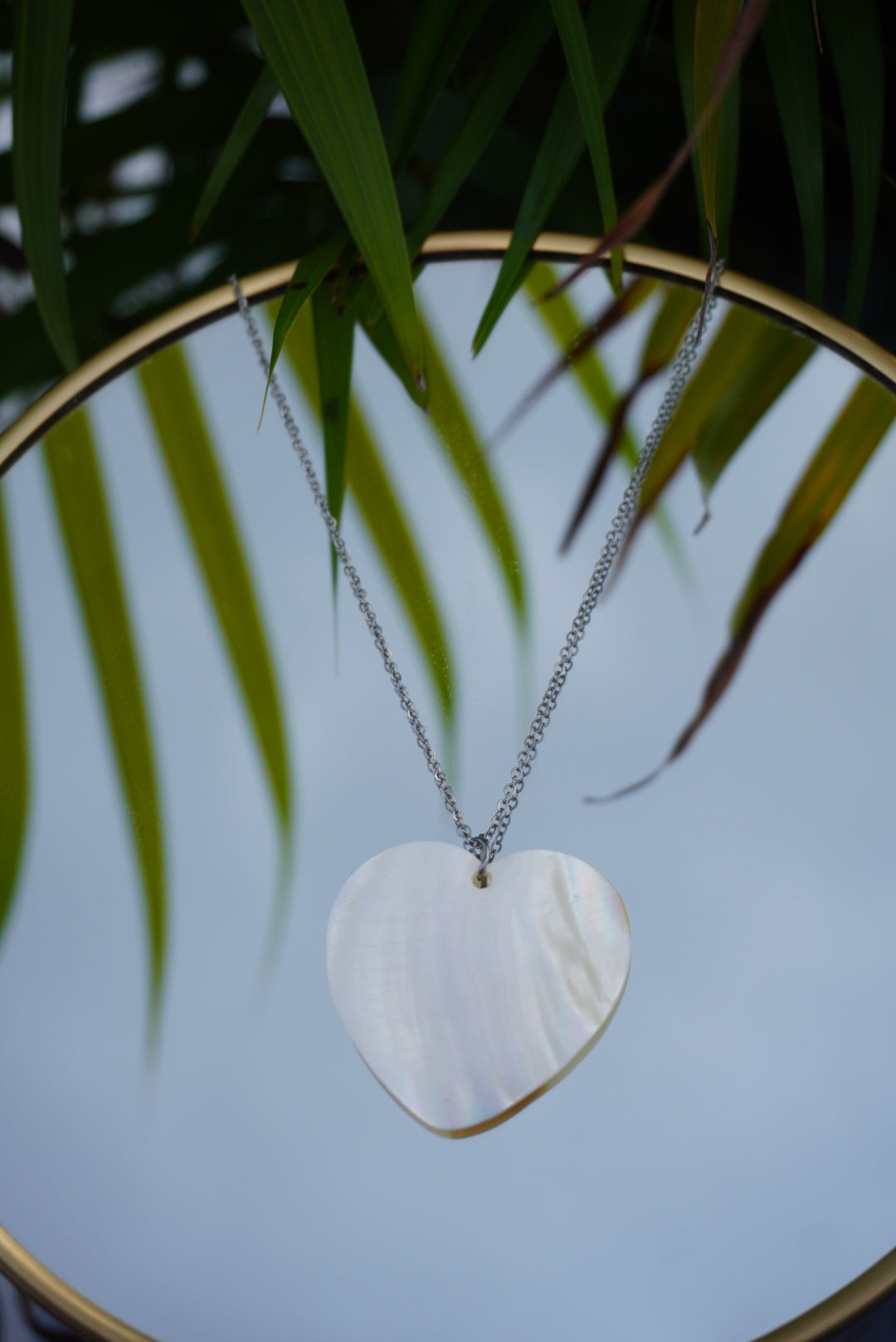 collares de conchas