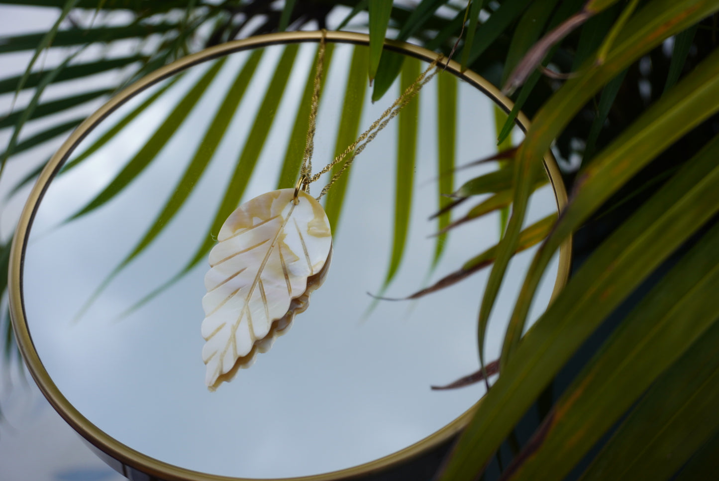collares de conchas
